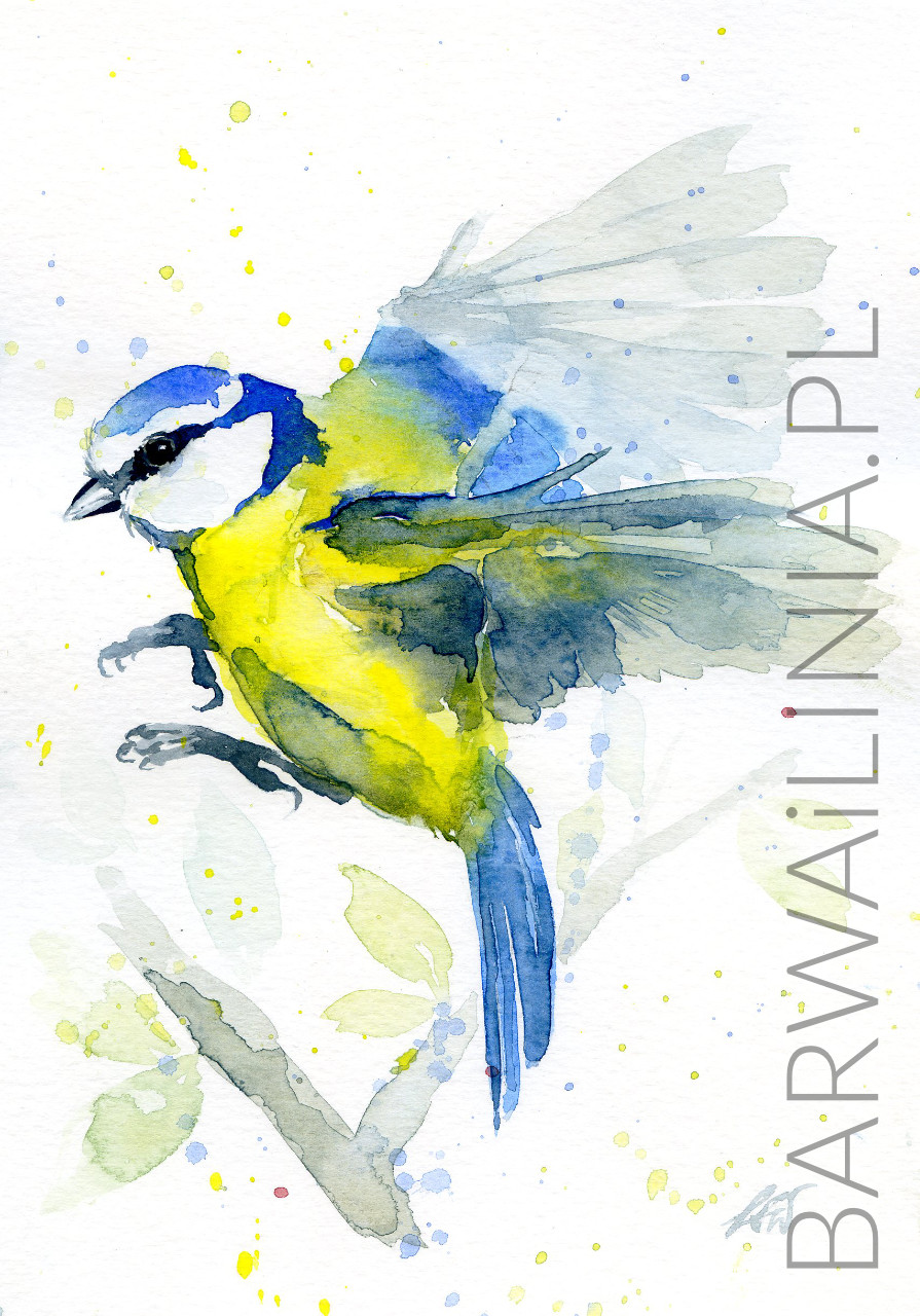 Ilustracja 18 – Akwarela